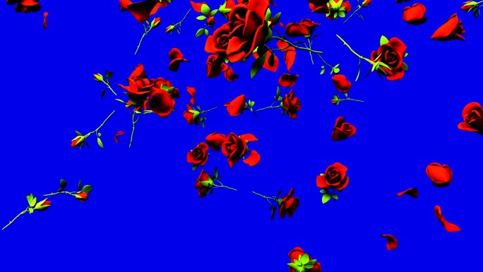 飘落的红玫瑰玫瑰花飘落动画特效花瓣雨抠像