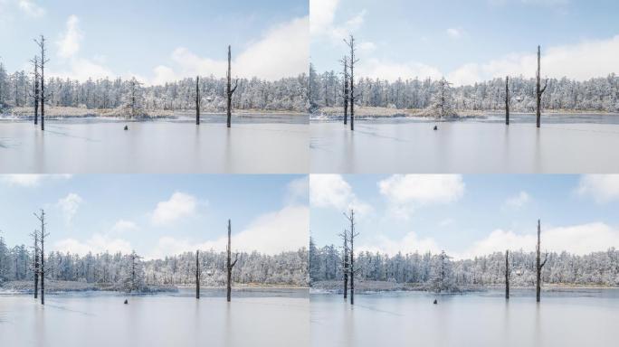 冬季白雪覆盖的湖面与森林