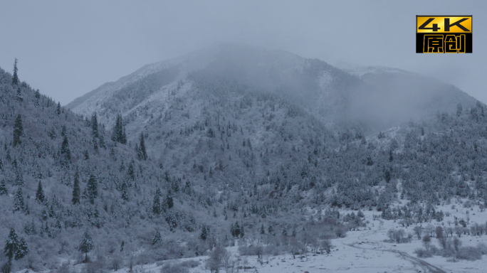 雅克夏雪山、雪山、雪景、下雪、森林