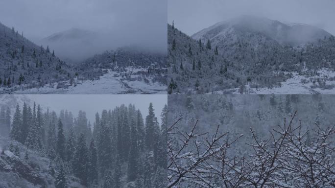 雅克夏雪山、雪山、雪景、下雪、森林