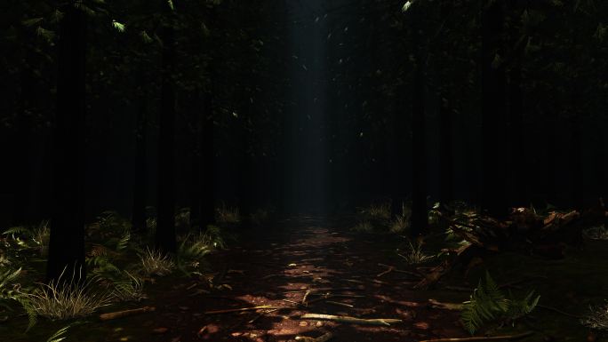 在雨林深处穿梭丛林小路夜晚深夜道路小道