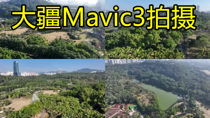 【20元】深圳莲花山公园