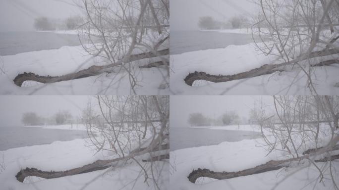 平移雪中水边枯树枝