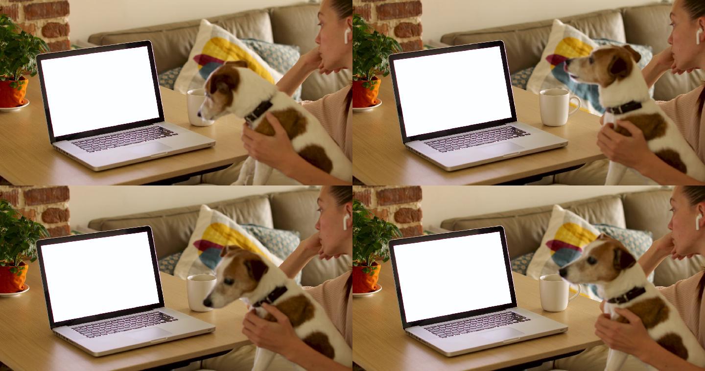 女人抱着小狗，一边浏览笔记本电脑
