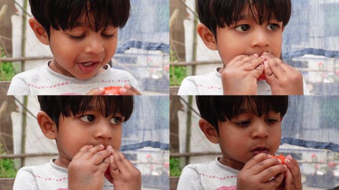吃西红柿的孩子外国小男孩吃西红柿