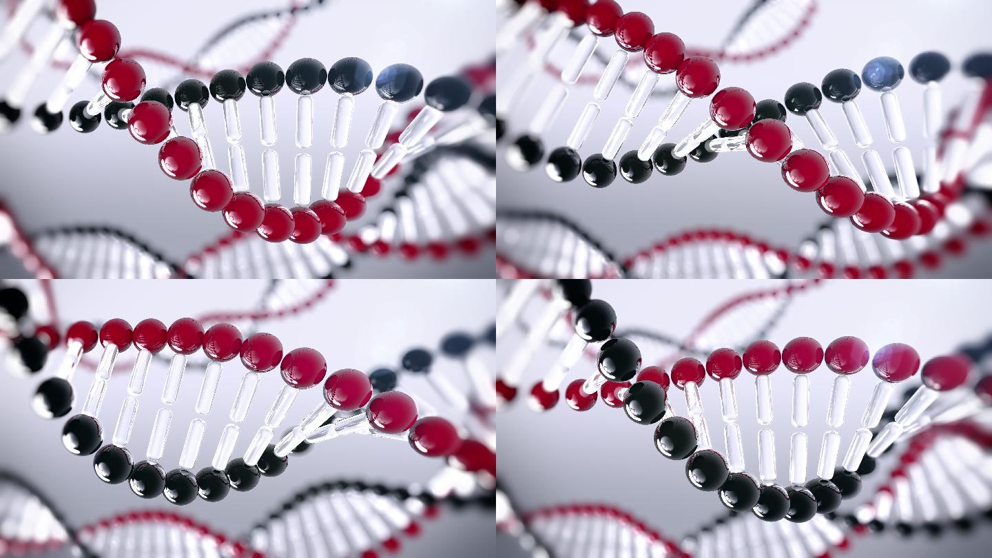 3D旋转DNA螺旋
