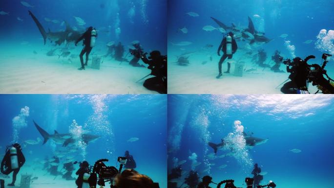 在鲨鱼中间拍照和录像的潜水员。