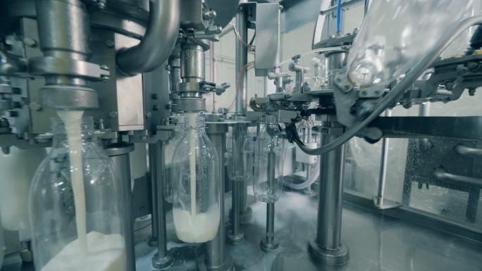 牛奶灌装自动化过程
