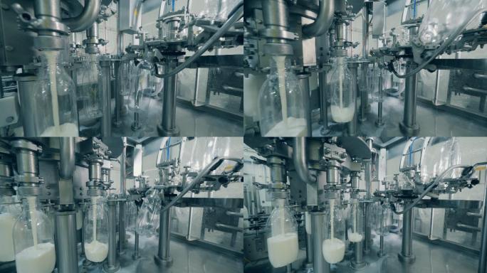 牛奶灌装自动化过程