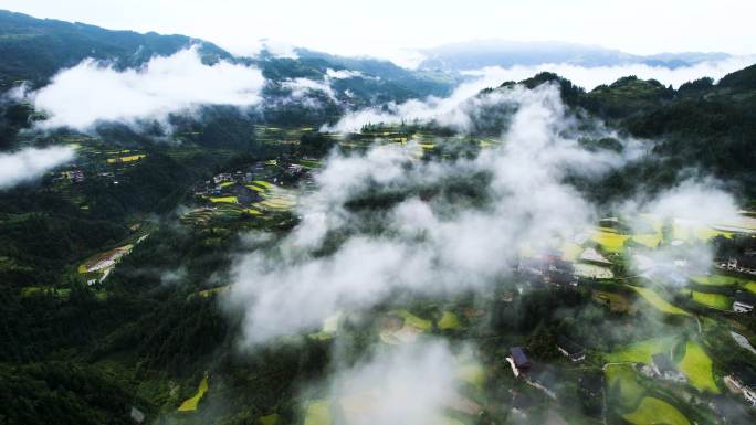 4K素材：航拍云雾中的苗寨梯田水稻田