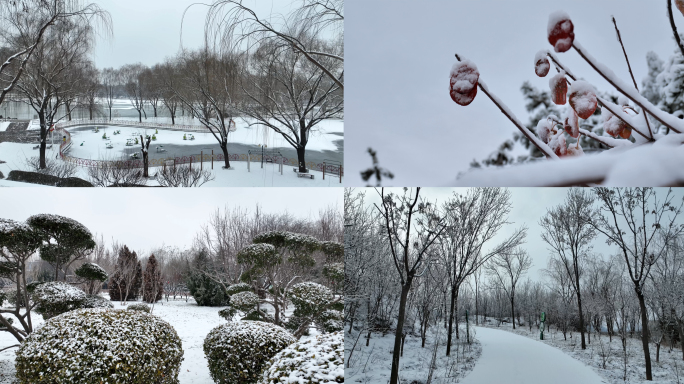 【4K】城市雪景