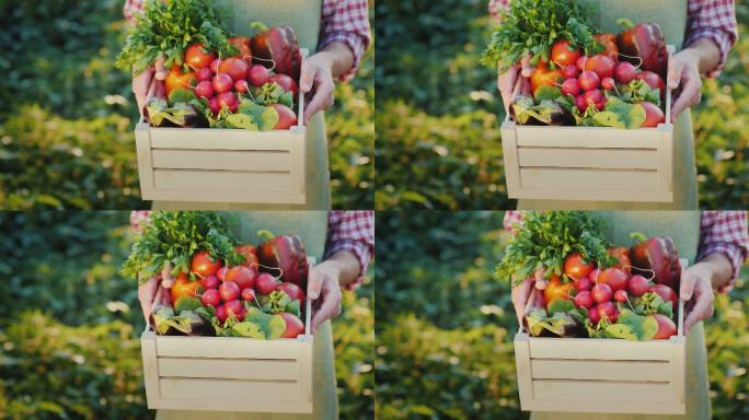一位农民拿着一盒萝卜和其他时令蔬菜