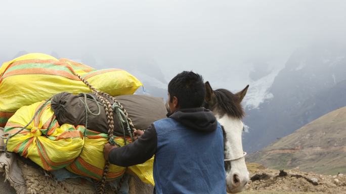 男人打包并装载马穿越安第斯山脉。