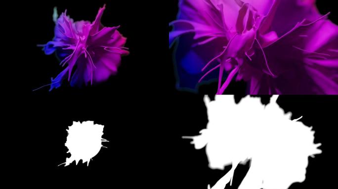 黑色背景上抽象流的Cg动画。