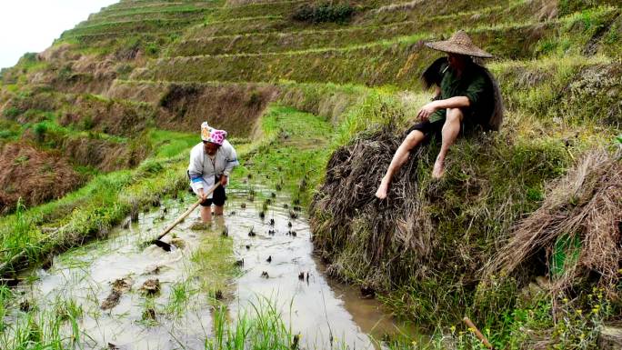 中国稻农少数民族老农老人