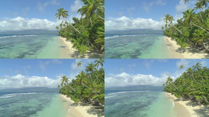 碧蓝的波浪状海洋热带海域椰树林椰子树