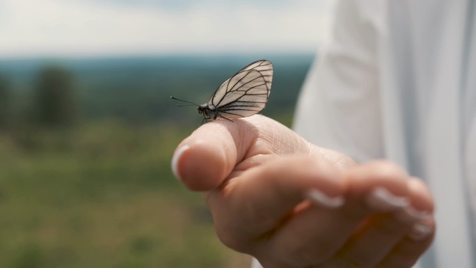 手里拿着一只蝴蝶飞蝶人与自然户外