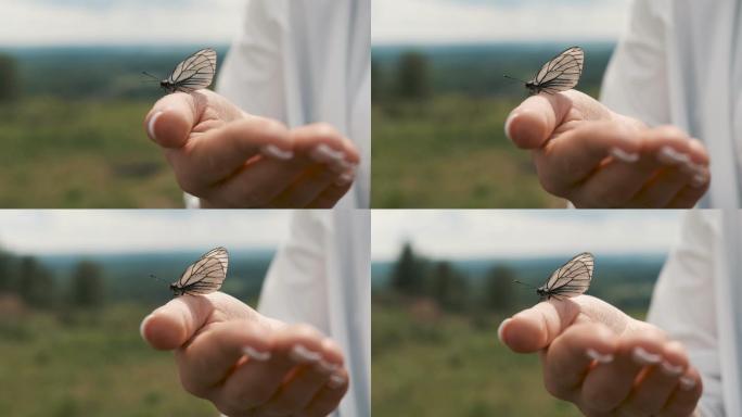 手里拿着一只蝴蝶飞蝶人与自然户外