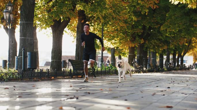 男子带着他的白色拉布拉多犬穿过城市公园
