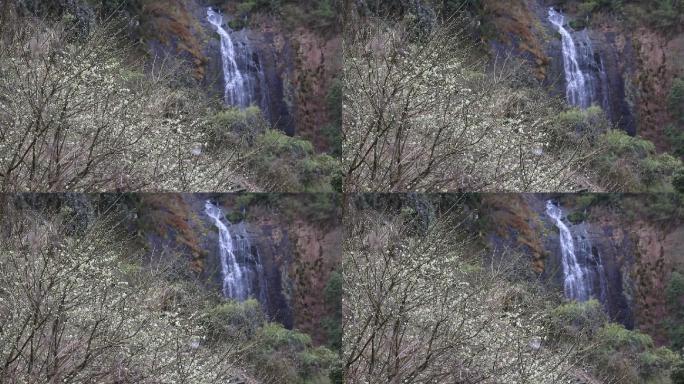 冬天白色梅花白梅瀑布山水原素材