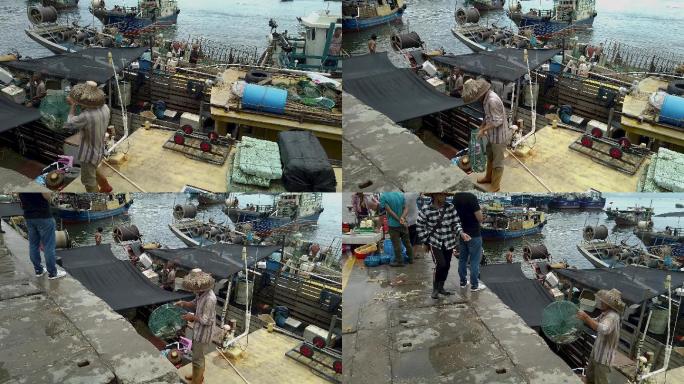 深圳蛇口港渔民渔船码头