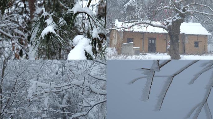 冬天大雪雪景树木