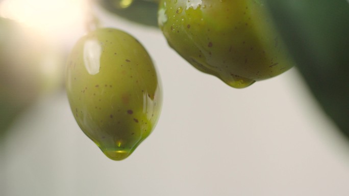 橄榄上的橄榄油创意拍摄主图视频电商广告