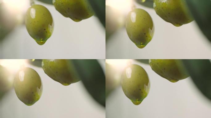 橄榄上的橄榄油创意拍摄主图视频电商广告