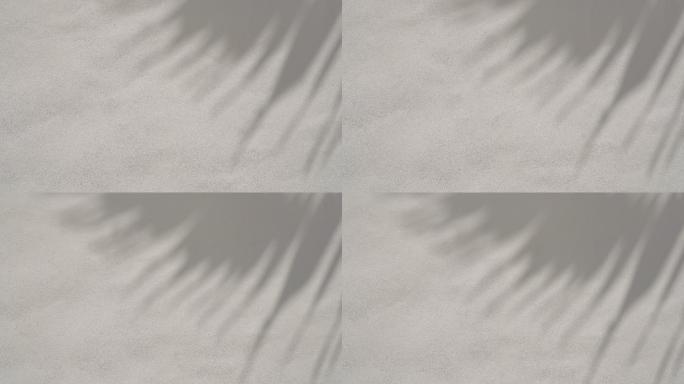 白色水泥墙上的棕榈叶阴影