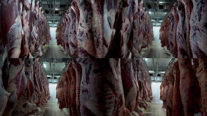 冷藏室里的屠宰肉
