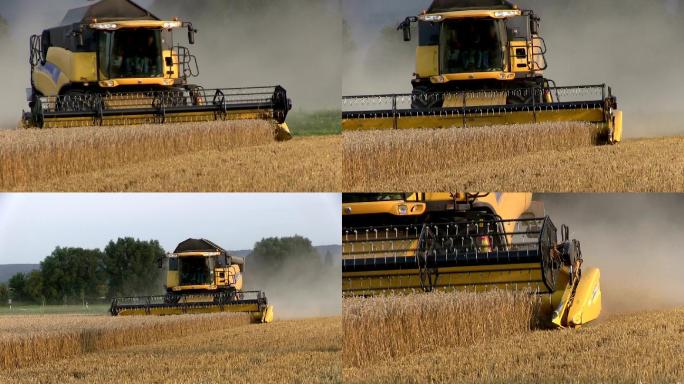 一台联合收割机收割小麦。