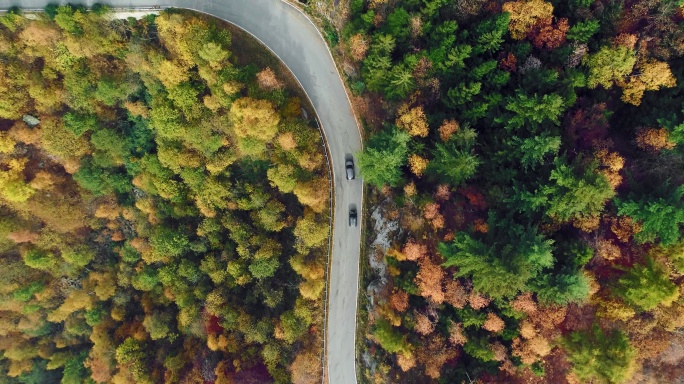 俯瞰彩色秋林中行驶的汽车。