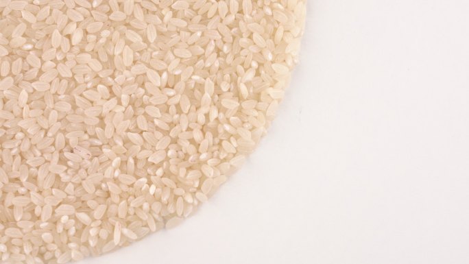 生白米堆水稻碳水化合物五谷粮食