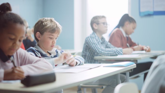 由聪明的孩子组成的小学教室