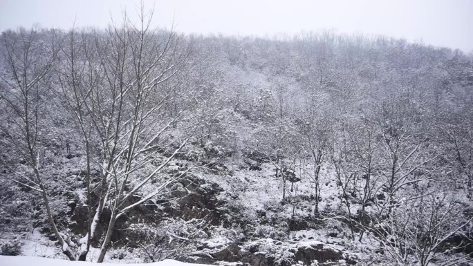 山区雪景