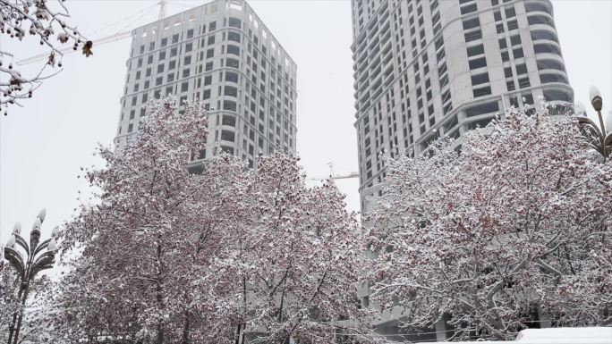 雪景 甘肃 天水 动车 公交车 路面