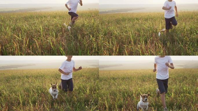 快乐男孩和小狗在田野奔跑