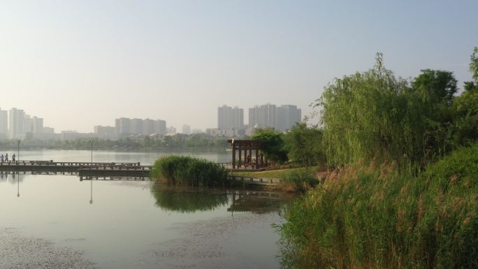 湖边空地