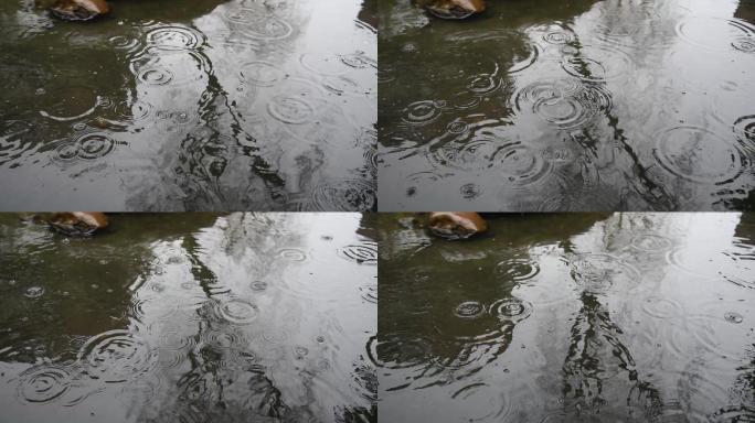 河塘雨景 下雨