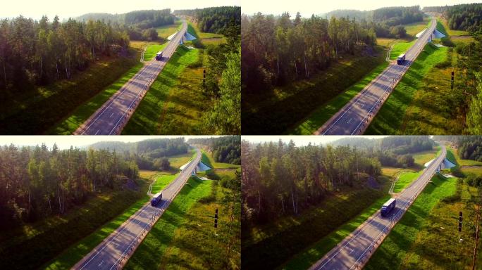 在森林公路上行驶的卡车