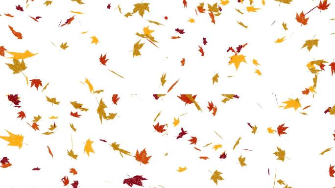 秋天落叶的动画合成素材元素叶子