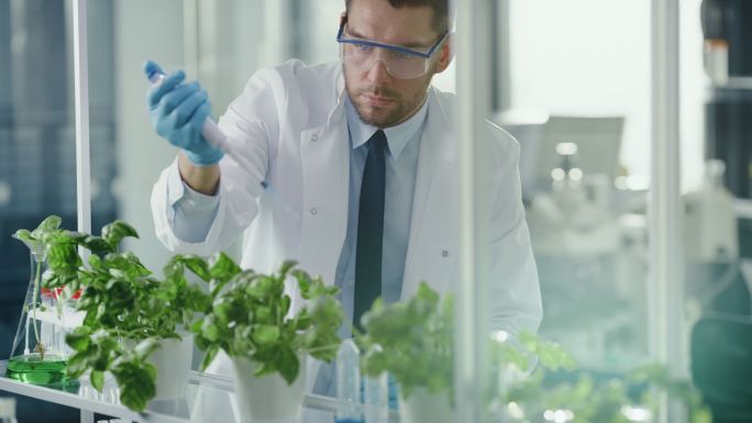 微生物学家给绿色植物添加生物营养