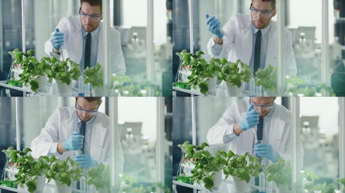 微生物学家给绿色植物添加生物营养