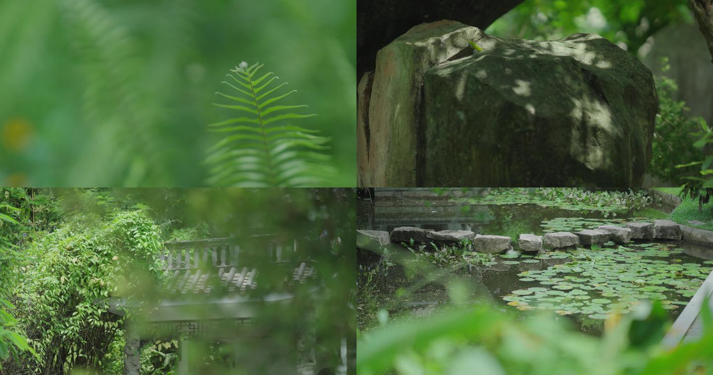 4K 古风 空镜 古建筑 池塘