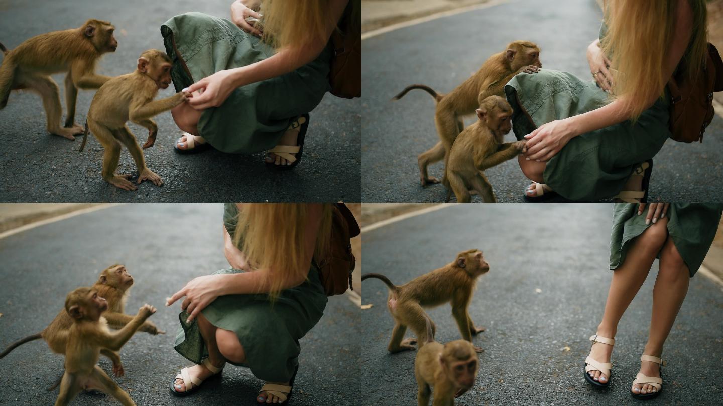猴子咬女孩的腿小猴子