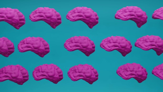 人脑内部大脑器官模型动画背景