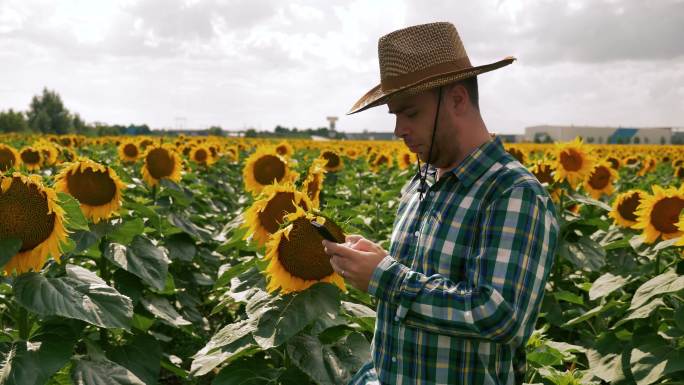 农民用智能手机发短信