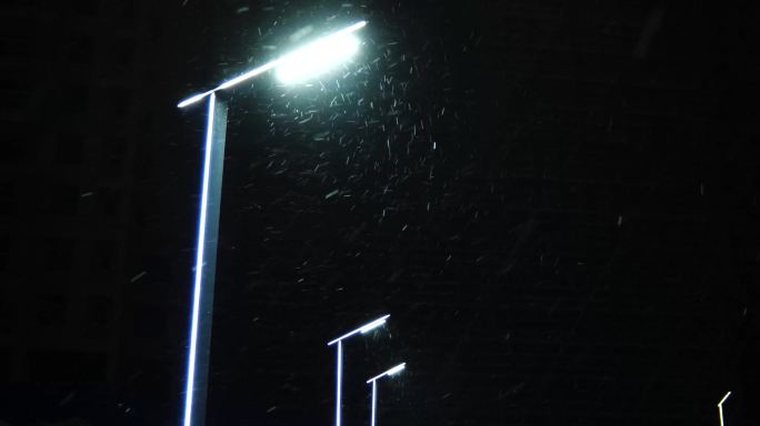 雪中街灯
