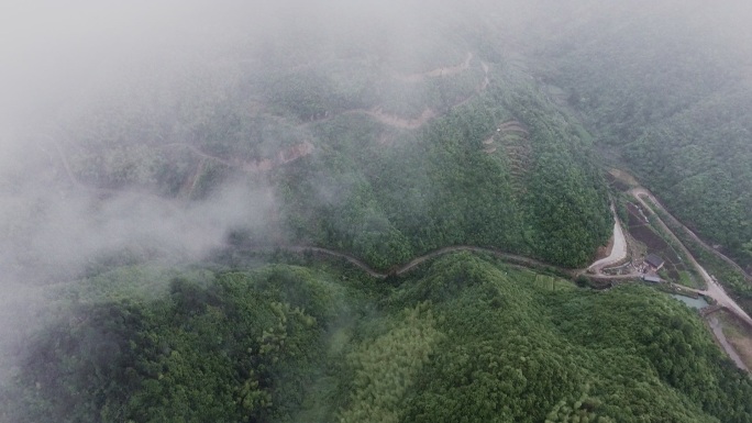 山体航拍 云雾森林