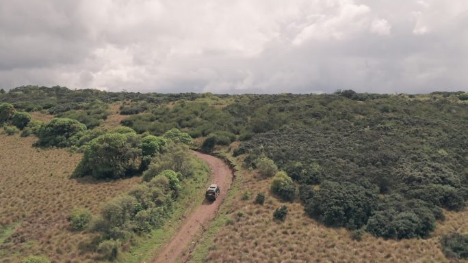 在非洲肯尼亚阿伯代尔国家公园开车